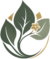 transparent png